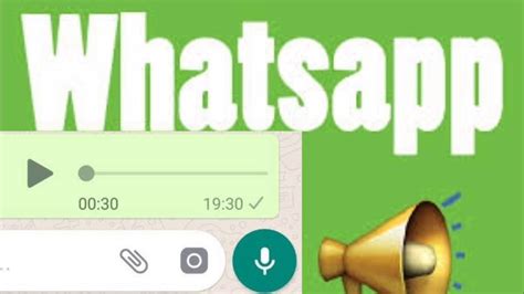 gordinha whatsapp|AUDIO WHATSAPP: A GORDINHA RAIOS DE SOL.